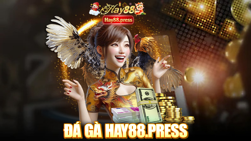 Đá Gà Hay88 - 2 Cổng Game Đá Gà Trực Tiếp - Live Đá Gà